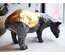 tapir
