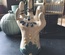 ceramiczna ręka