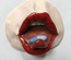 usta