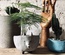 OUTLET doniczka wilk